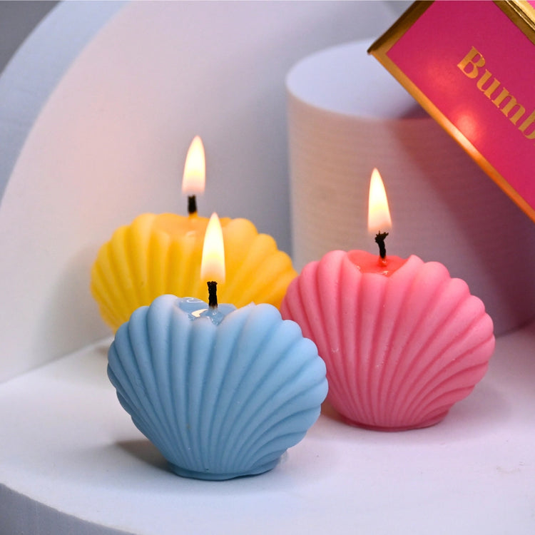 Clam Shell Gift Box of 6